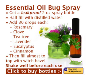 Facebook Ad for Bug Spray